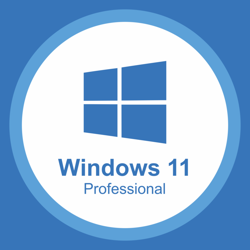 Windows 11 Pro Lisans